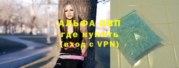 спайс Пересвет