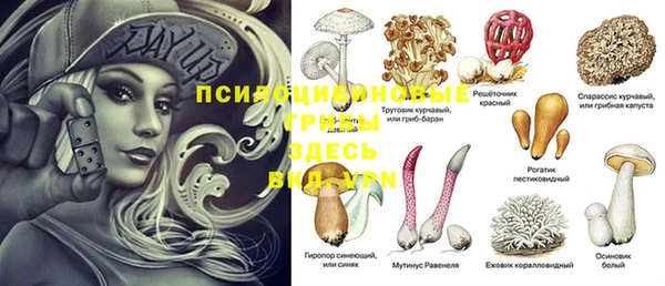 героин Покачи