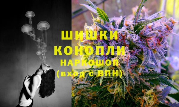 героин Покачи
