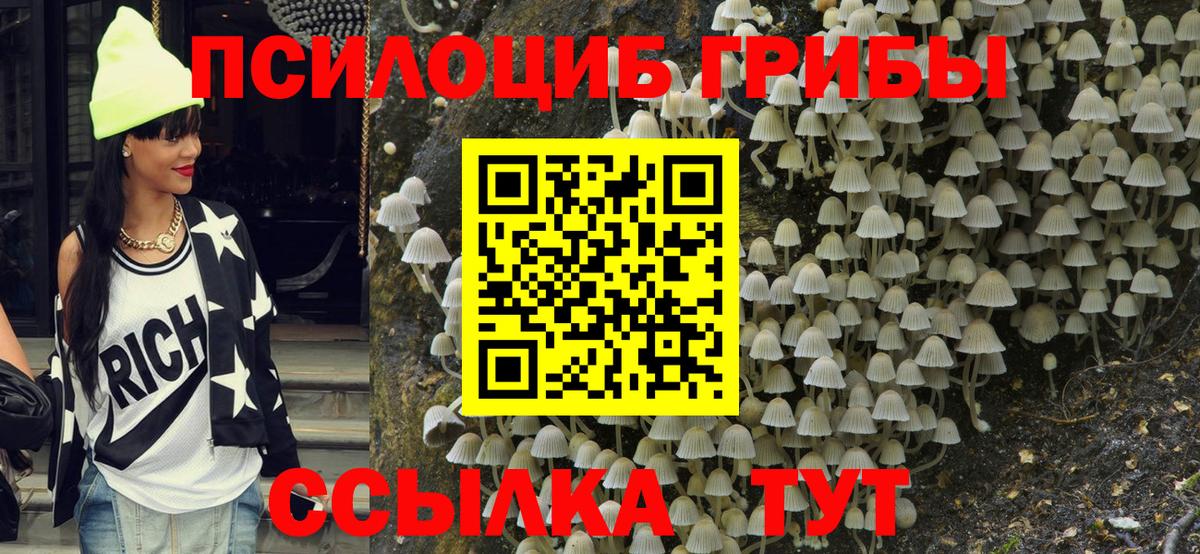 Псилоцибиновые грибы GOLDEN TEACHER  Вход с VPN  Котельники 